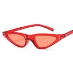 DYTYMJ 2022 Cat Eye Sunglasses Women Luxury Designer Women Glasses Classic Vintage Cateye Eyewear Men Retro Small Gafas De Sol - Image 3