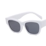 DYTYMJ Cat Eye Sunglasses Woman New Small Frame Sunglasses Simple Style Shades for Women Trend Cat Eye Gafas De Sol Mujer UV400 - Image 2