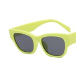 DYTYMJ Cat Eye Sunglasses Woman New Small Frame Sunglasses Simple Style Shades for Women Trend Cat Eye Gafas De Sol Mujer UV400 - Image 3