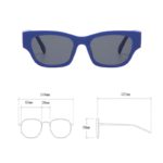DYTYMJ Cat Eye Sunglasses Woman New Small Frame Sunglasses Simple Style Shades for Women Trend Cat Eye Gafas De Sol Mujer UV400 - Image 5