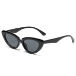 DYTYMJ Cat Eye Sunglasses Women Fashion Small Frame Eyewear Women/Men Vintage Punk Sun Glasses Women Mirror Gafas De Sol Mujer - Image 2