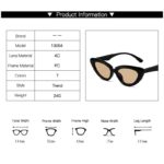 DYTYMJ Cat Eye Sunglasses Women Fashion Small Frame Eyewear Women/Men Vintage Punk Sun Glasses Women Mirror Gafas De Sol Mujer - Image 5