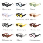 DYTYMJ Small Irregular Sunglasses Women Fashion Personality Small Frame Sunglasses Men Holiday Beach Glasses Lentes De Sol Mujer - Image 6