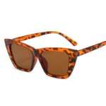 DYTYMJ Square Cateye Sunglasses Women Vintage Cat Eye Sun Glasses for Women Retro Shades for Women Wholesale Lentes De Sol Mujer - Image 3